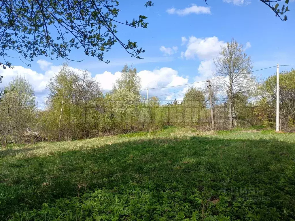Участок в Смоленская область, Смоленск Черничный сад СНТ, ул. ... - Фото 1