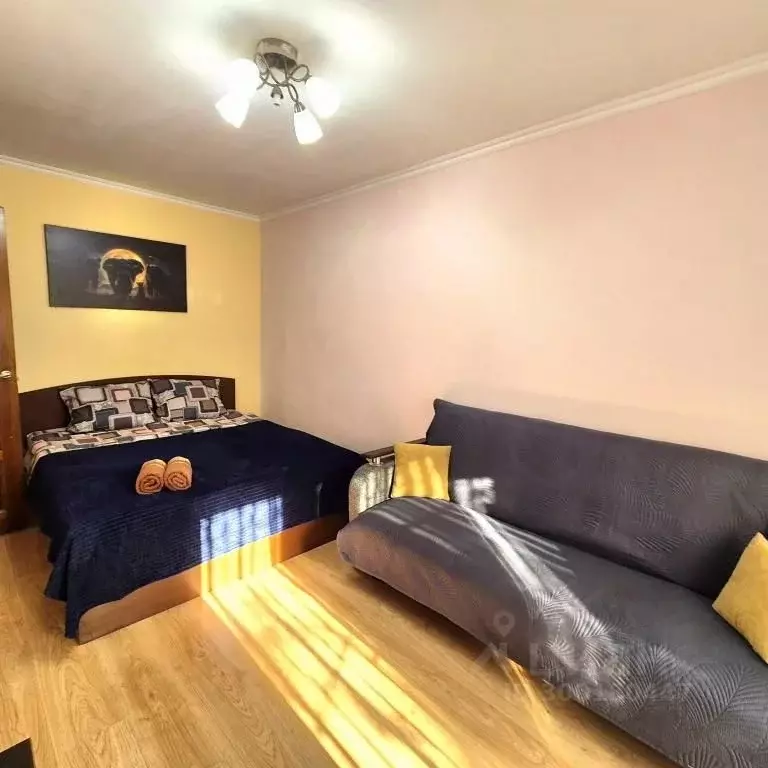 1-к кв. Московская область, Ивантеевка Пушкинский городской округ, ул. ... - Фото 1