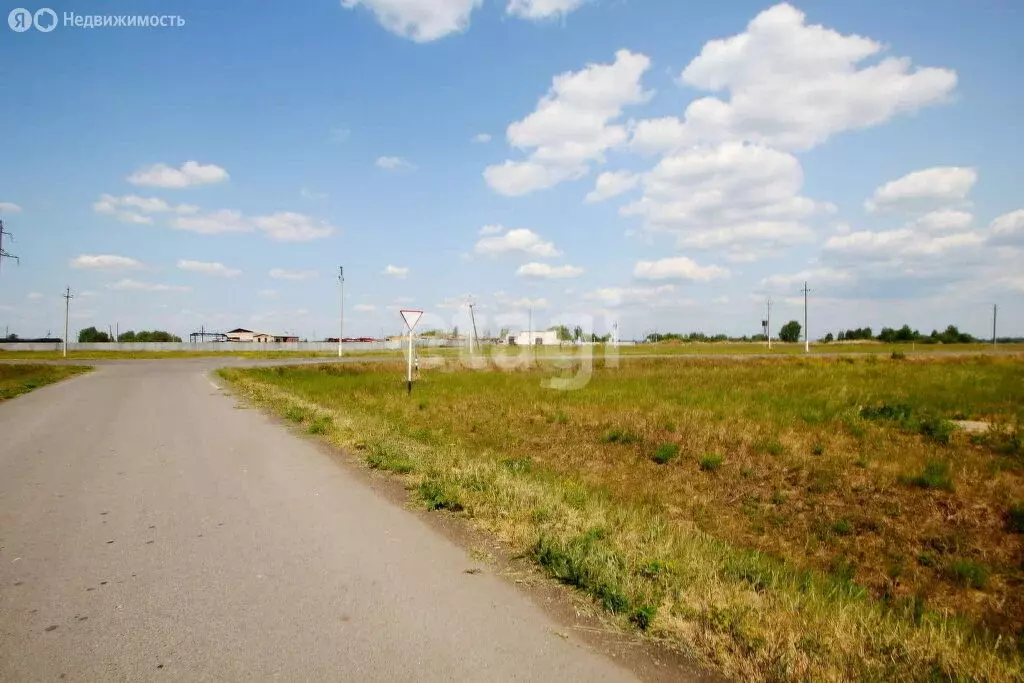 Участок в Тюменская область, Заводоуковский муниципальный округ, село ... - Фото 1