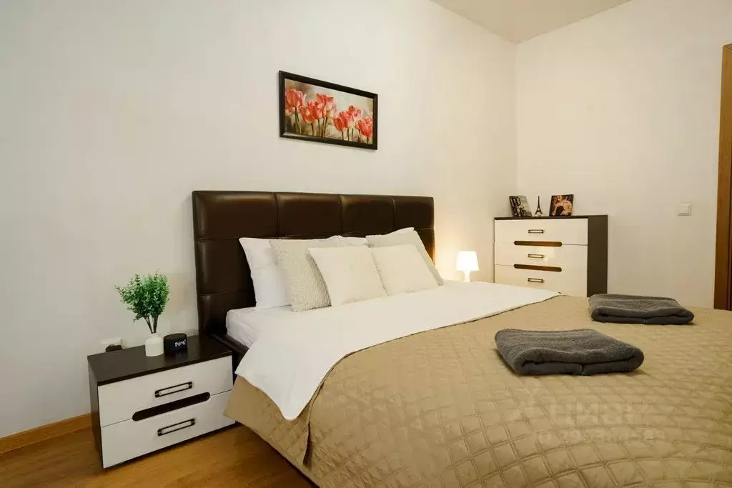 Комната Санкт-Петербург Московский просп., 183-185 - Фото 1