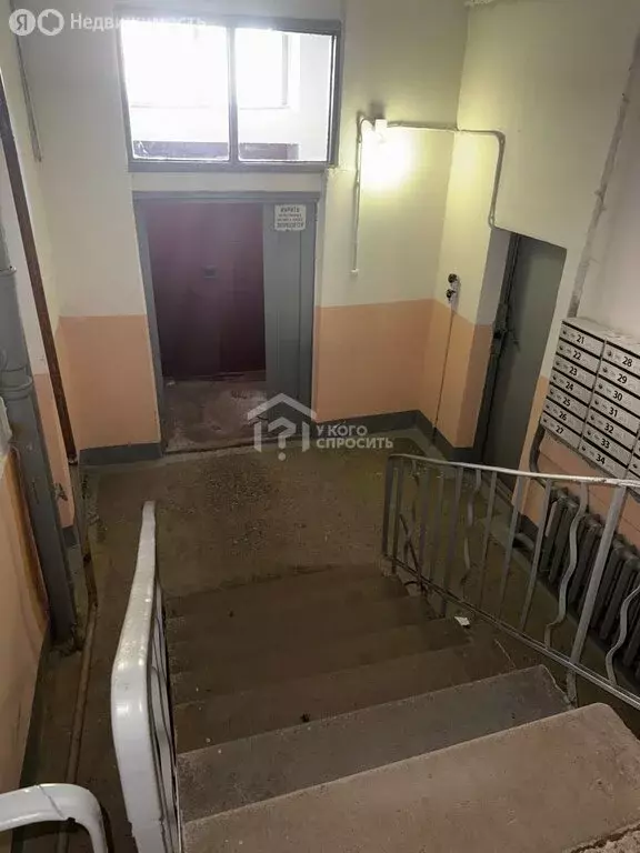 3-комнатная квартира: Петергоф, Чебышёвская улица, 4к2 (69.7 м) - Фото 2