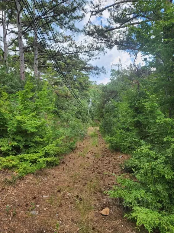 Участок в Крым, Ялта муниципальный округ, Восход пгт ул. Наташинская, ... - Фото 0