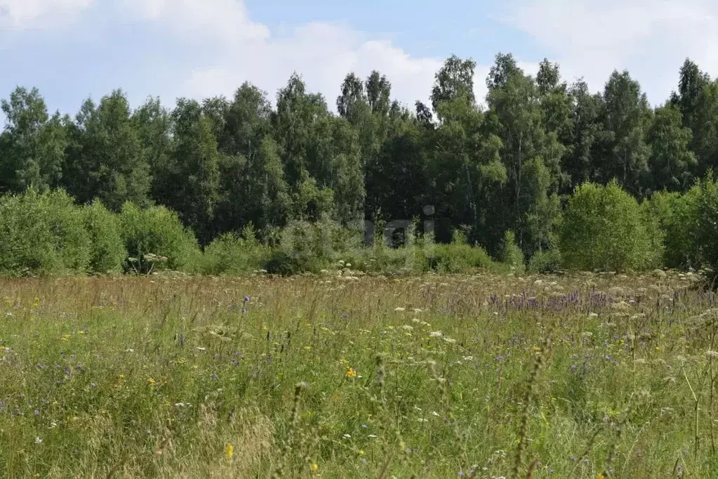Участок в Калужская область, Перемышльский район, Хотисино с/пос, д. ... - Фото 1