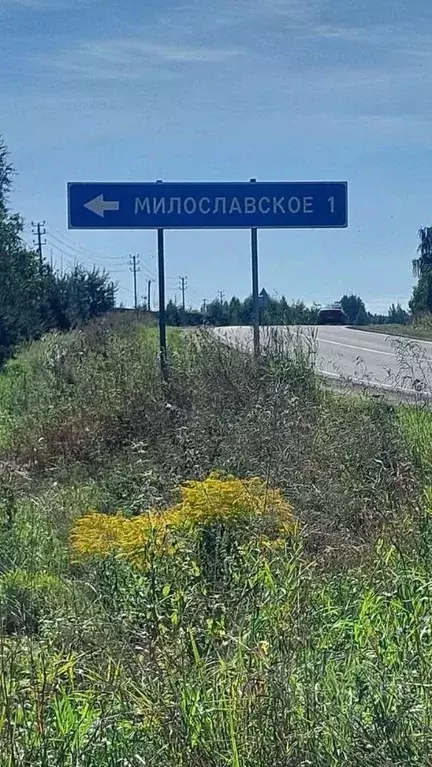 Участок в Новгородская область, Новгородский район, Ракомское с/пос, ... - Фото 1