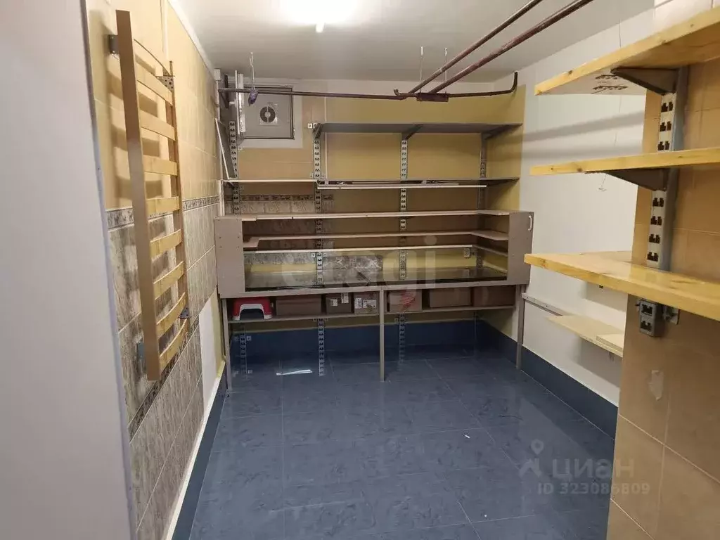 Помещение свободного назначения в Владимирская область, Владимир ул. ... - Фото 1