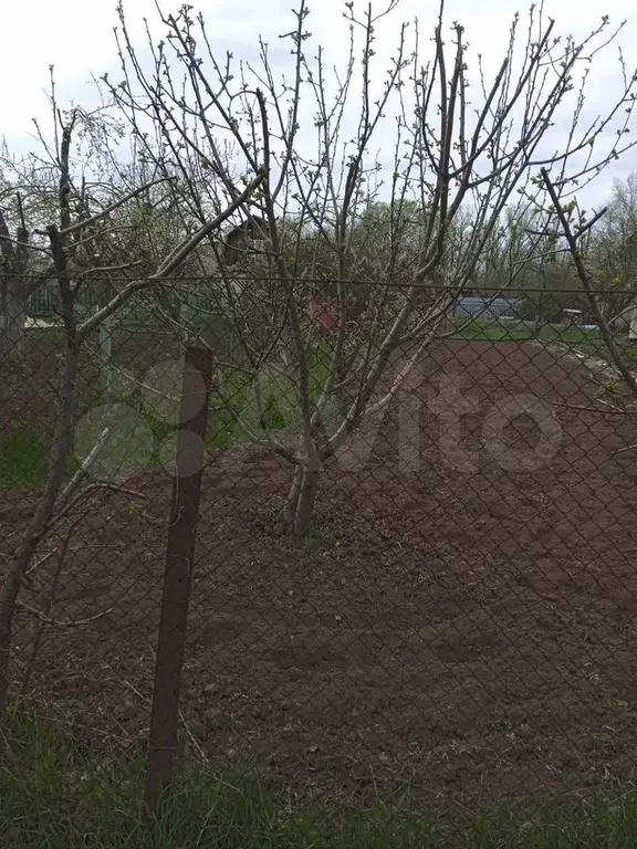 Участок 4 сот. (СНТ, ДНП) - Фото 1