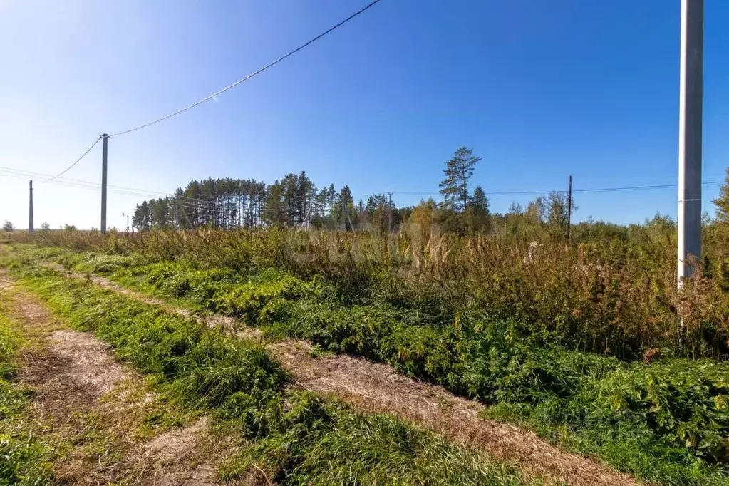 Участок в Тюменская область, Тюменский район, д. Решетникова  (8.0 ... - Фото 1