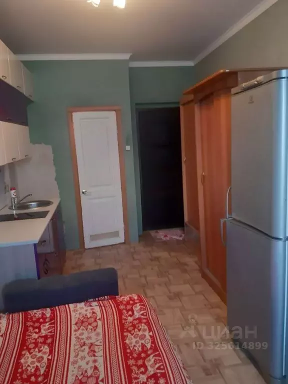 Студия Курганская область, Курган Чернореченская ул., 123Б (19.0 м) - Фото 2