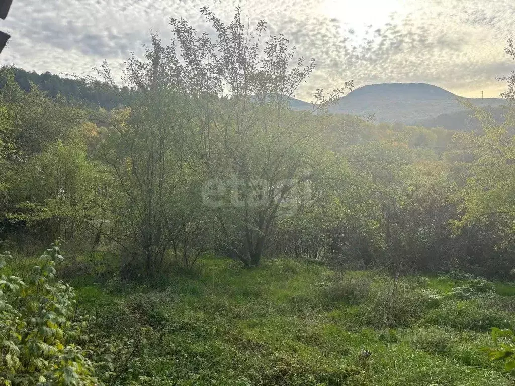 Дом в Крым, Бахчисарайский район, Зеленовское с/пос, с. Счастливое ул. ... - Фото 1