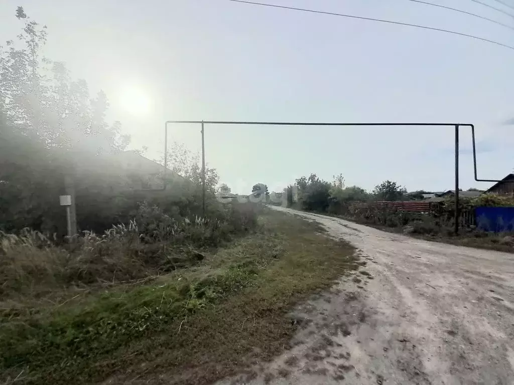 Участок в Саратовская область, Балашовский район, Пинеровка рп Новая ... - Фото 1