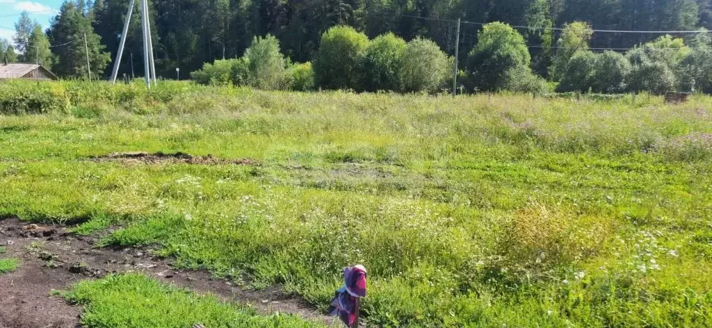 Участок в Алтай, Майминский район, с. Кызыл-Озек ул. Придорожная, 1 ... - Фото 1