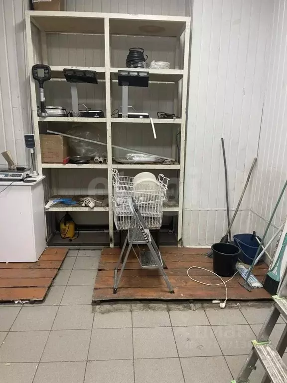 Помещение свободного назначения в Тюменская область, Тюмень ул. ... - Фото 1