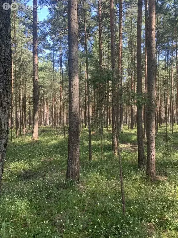 Дом в Выборгский район, Гончаровское сельское поселение, СНТ ... - Фото 0