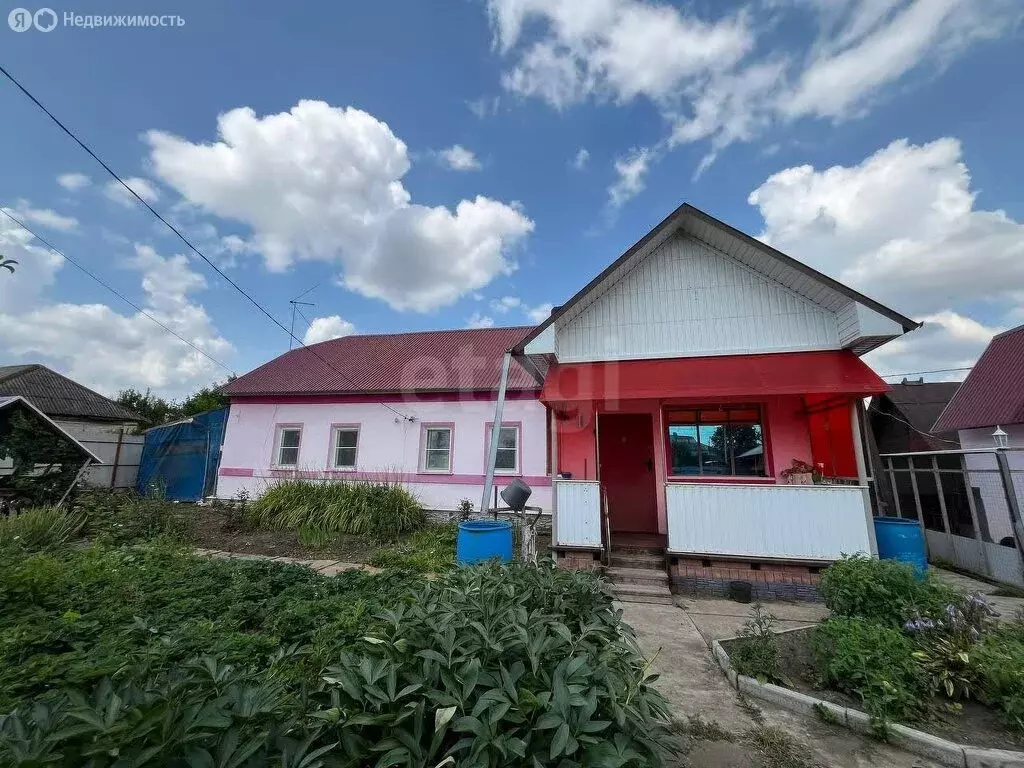 Дом в Васильевка, Центральная улица (46 м) - Фото 0