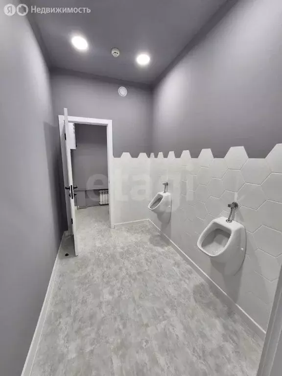 Офис (27.4 м) - Фото 2