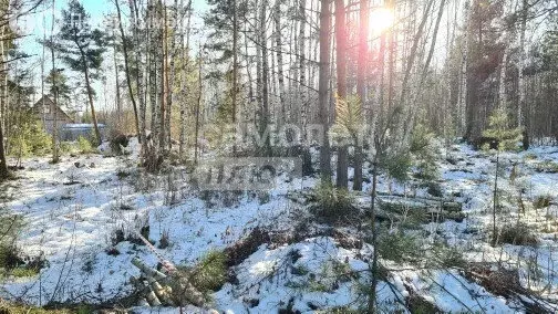 Участок в село Кудиново (18 м) - Фото 0