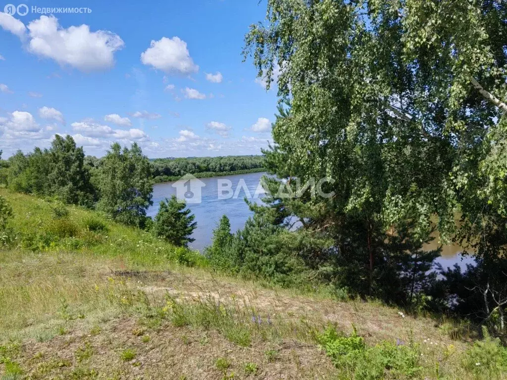 Дом в село Корекозево, Сосновая улица, 23 (230 м) - Фото 2