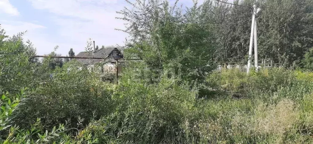 Участок в Воронежская область, с. Новая Усмань ул. Набережная (12.0 ... - Фото 0