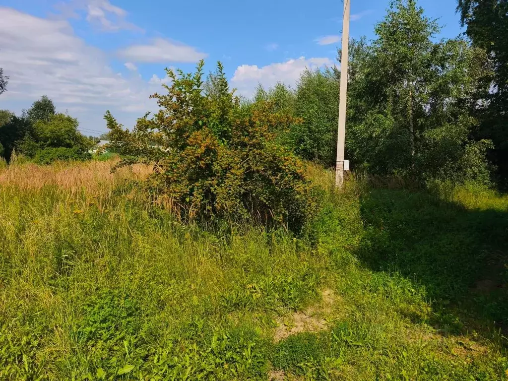 Участок в Московская область, Орехово-Зуевский городской округ, пос. ... - Фото 1