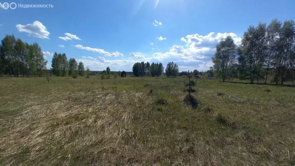 Участок в Ярославская область, сельское поселение Некрасовское, ... - Фото 0