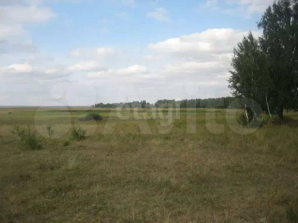 Участок 8,26 га (СНТ, ДНП) - Фото 0