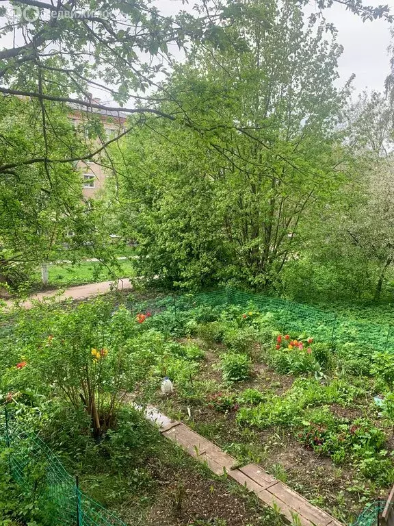 2-комнатная квартира: Лыткарино, Парковая улица, 6 (40.2 м) - Фото 1