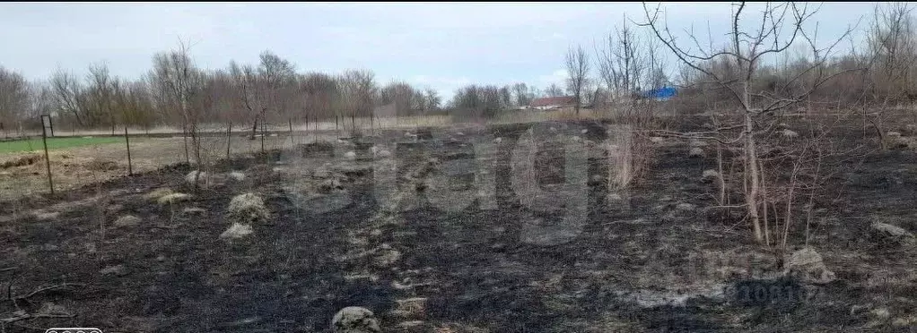 Дом в Липецкая область, Задонский муниципальный округ, с. Верхний ... - Фото 1