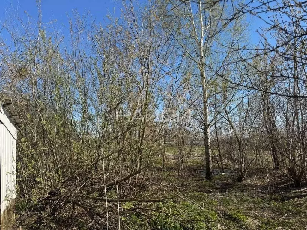 Участок в Рязанская область, Рязанский муниципальный округ, с. Поляны ... - Фото 2