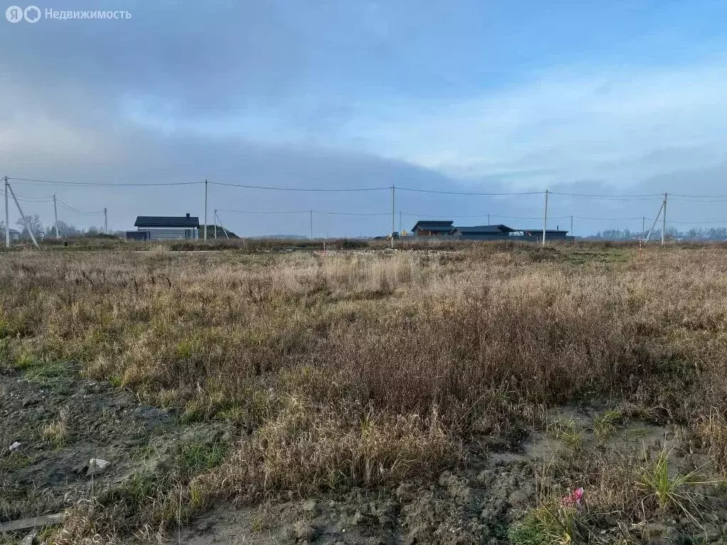 Участок в Калининградская область, Зеленоградский муниципальный округ, ... - Фото 2