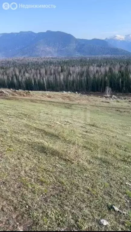 Участок в Усть-Коксинский район, село Тюнгур (16 м) - Фото 1