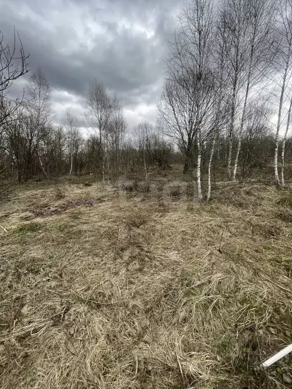 Участок в Тульская область, Тула городской округ, д. Коптево  (15.0 ... - Фото 1