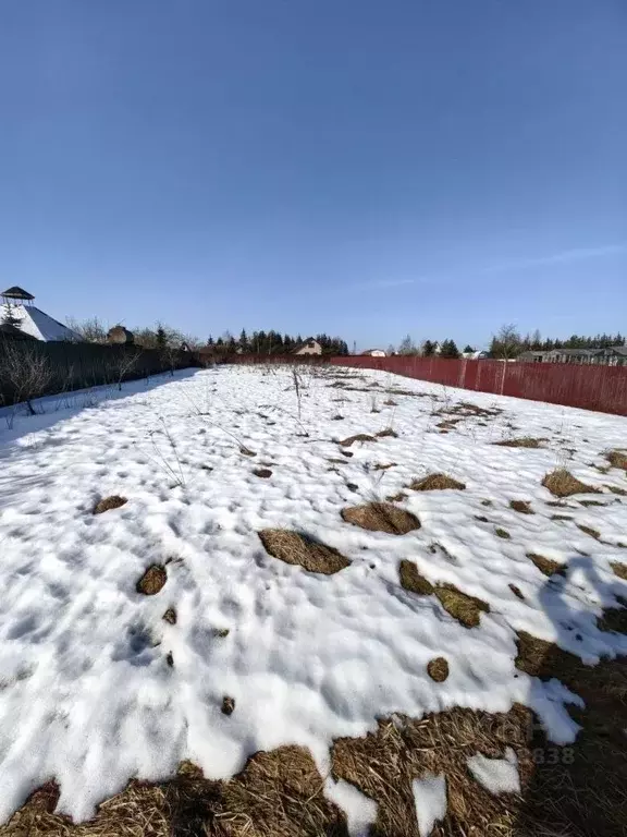 Участок в Новгородская область, Новгородский район, Трубичинское ... - Фото 2