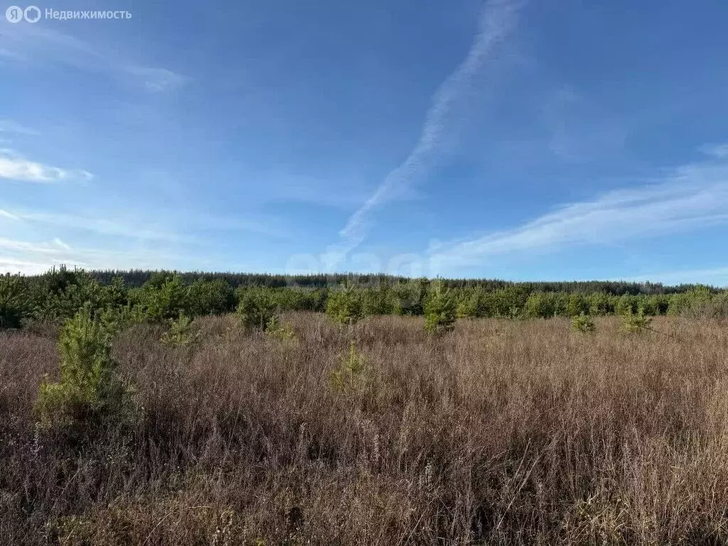 Участок в муниципальное образование Новосельское, деревня Черноситово ... - Фото 0