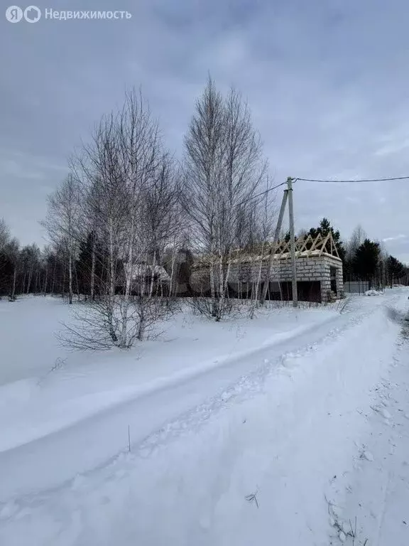 Участок в Курганская область, Кетовский муниципальный округ, ДНТ Южный ... - Фото 2