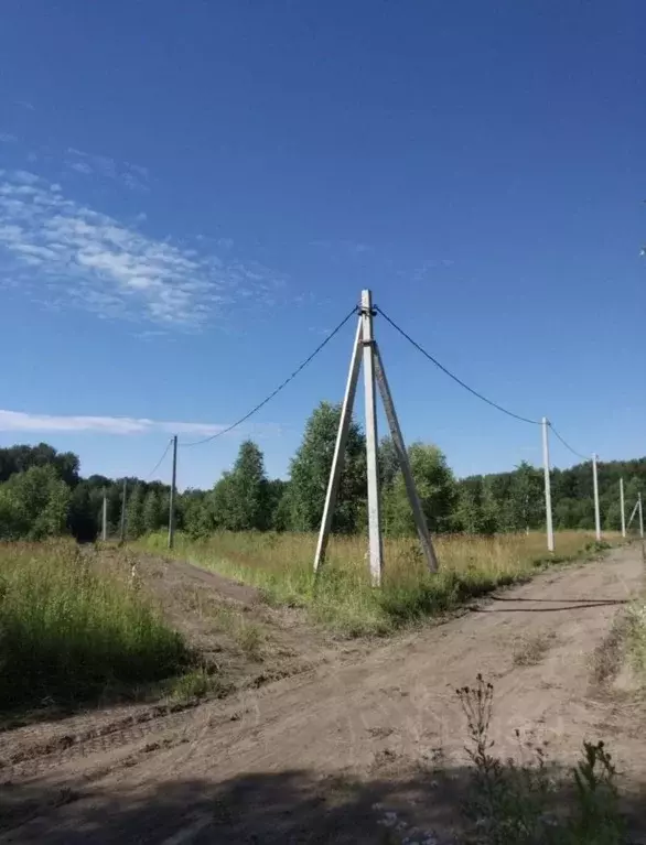 Участок в Новосибирская область, Новосибирский район, с. Плотниково  ... - Фото 0