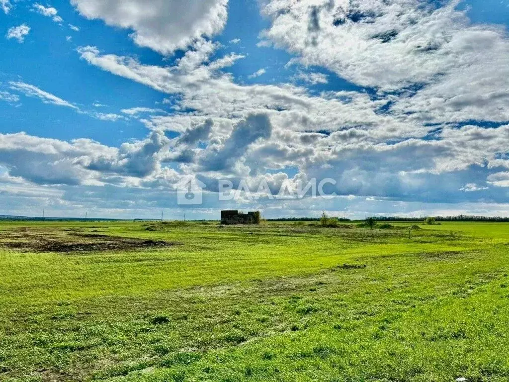 Участок в Татарстан, Лаишевский район, Рождественское с/пос, д. ... - Фото 2
