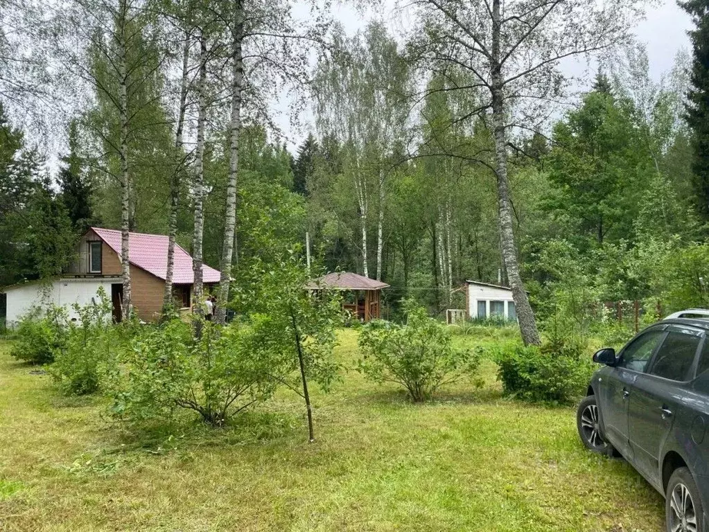 Дом в Владимирская область, Александров Строитель-1 СНТ, 35 (45 м) - Фото 2