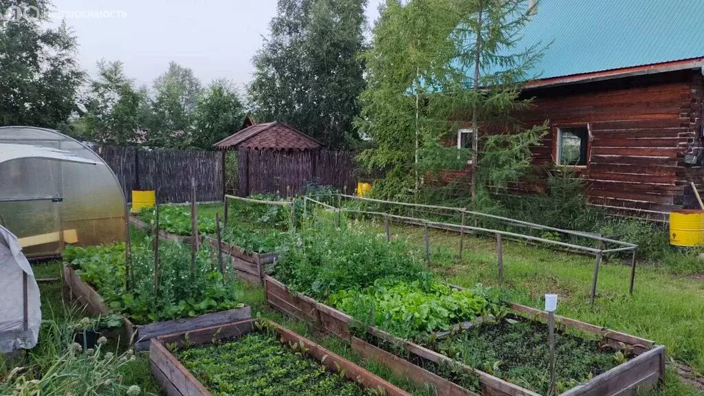 Дом в Чита, Больничная улица, 9 (27.5 м) - Фото 0