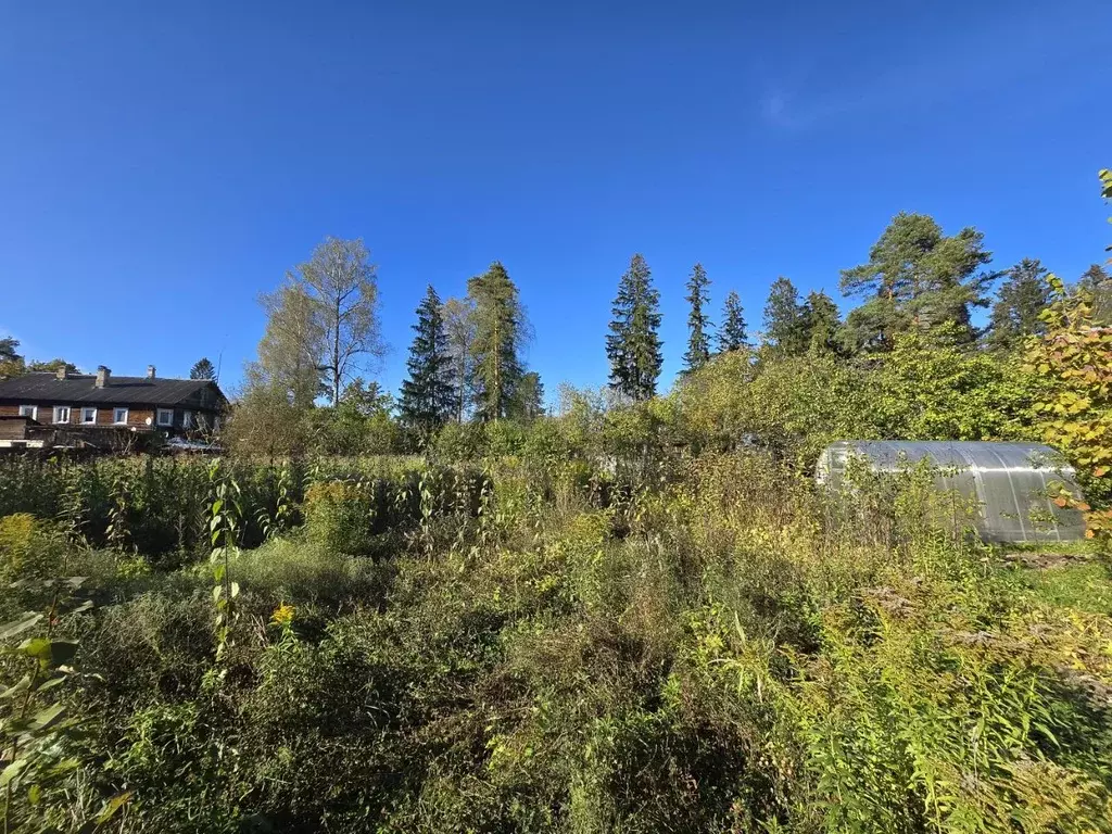 Участок в Ленинградская область, Гатчинский муниципальный округ, ... - Фото 1