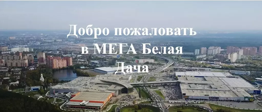 Помещение свободного назначения в Московская область, Котельники ... - Фото 1