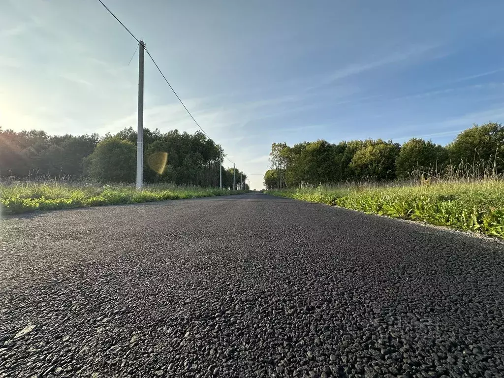 Участок в Ленинградская область, Всеволожский район, Романовское ... - Фото 1
