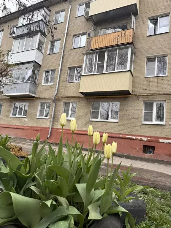 3-к кв. Тамбовская область, Тамбов Мичуринская ул., 42 (53.9 м) - Фото 1