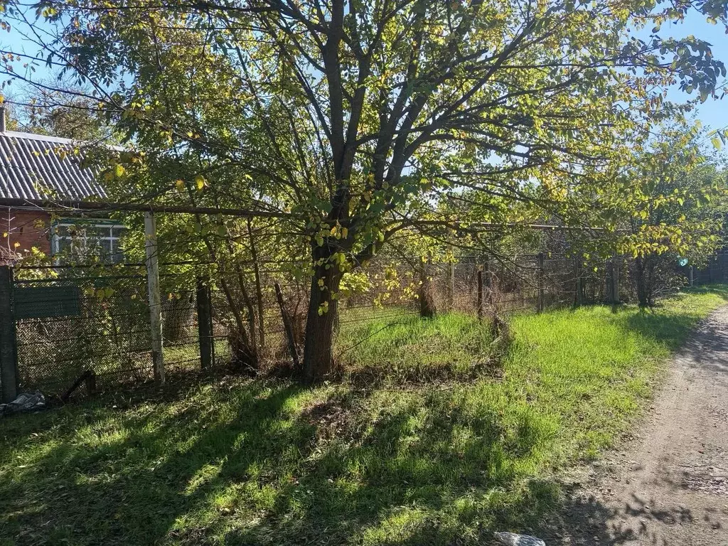 Участок в Краснодарский край, Красноармейский район, Новомышастовское ... - Фото 1