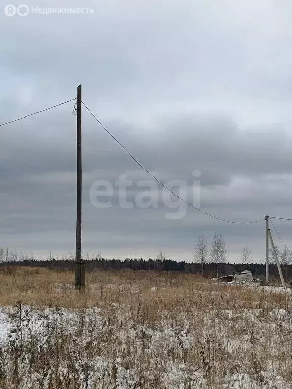 Участок в Красносельский район, Гридинское сельское поселение, деревня ... - Фото 1