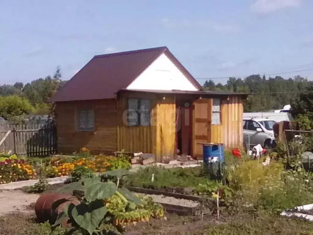Дом в Новосибирская область, Тогучинский район, Ветеран СНТ  (24 м) - Фото 0