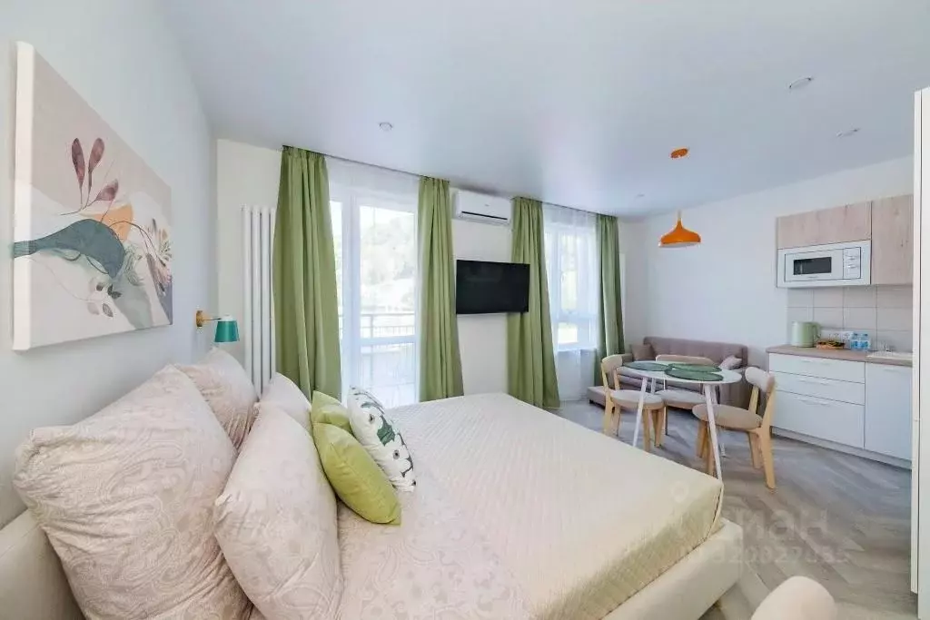 1-к кв. Краснодарский край, Сочи ул. Искры, 88к10 (28.0 м) - Фото 0
