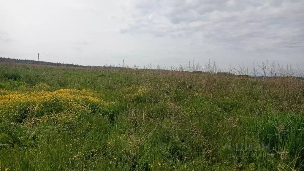 Участок в Московская область, Клин городской округ, д. Тархово  (14.16 ... - Фото 1