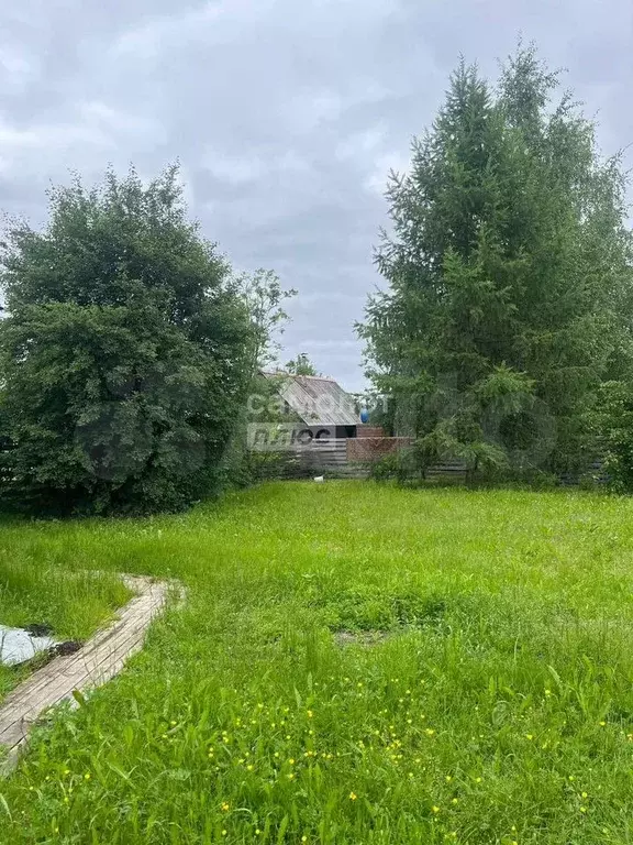 Участок 10 сот. (СНТ, ДНП) - Фото 0