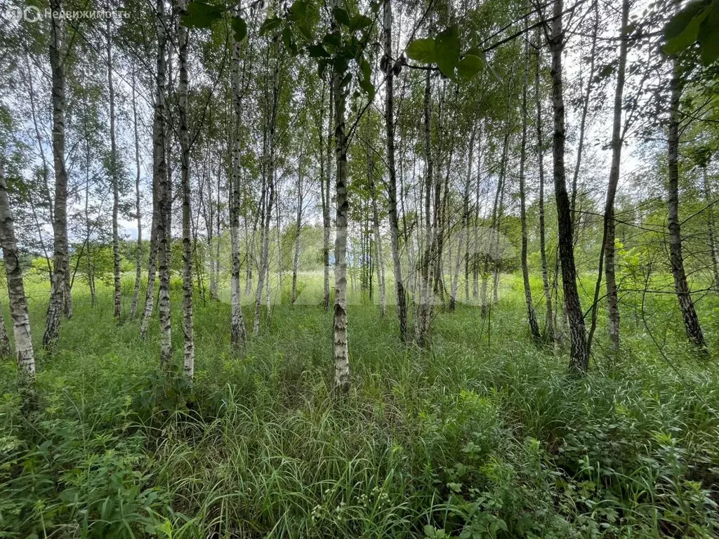 Участок в Заокский район, сельское поселение Страховское (20 м) - Фото 0