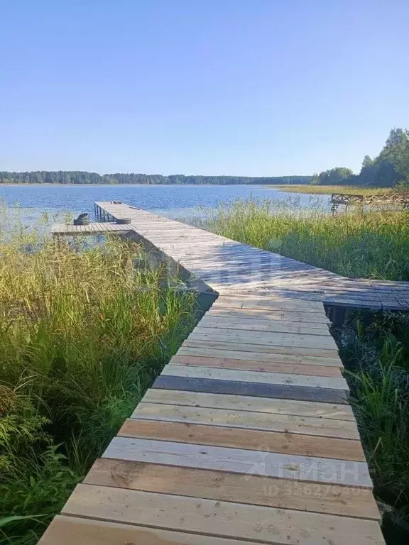 Дом в Тверская область, Осташковский муниципальный округ, д. Горбово  ... - Фото 1